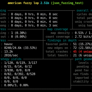 Leveraging Ada Run-Time Checks with Fuzz Testing in AFL
